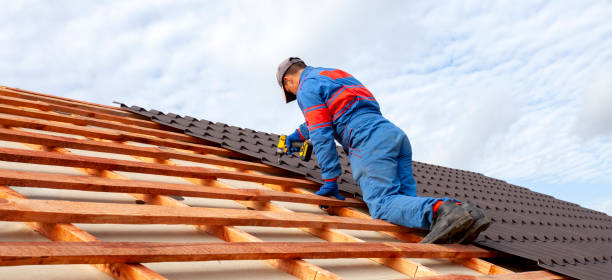 Best Asphalt Shingle Roofing  in Raubsville, PA