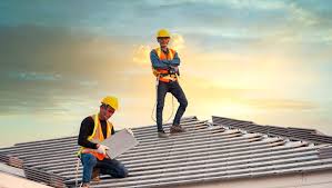 Best Roof Moss and Algae Removal  in Raubsville, PA